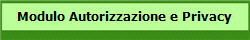 Modulo Autorizzazione e Privacy